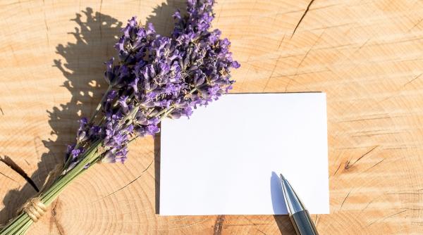 mesaje de la multi ani de sfantul ilie