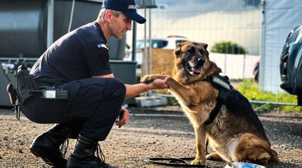 ce nu se vede la electric castle o poveste speciala despre devotament