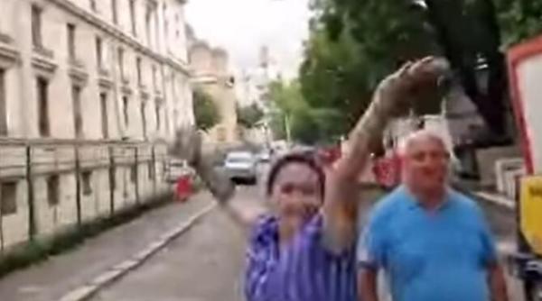 cristina dumitra patroana unuia dintre azilele groazei din voluntari l a atacat pe protestatarul marian ceausescu care a facut o criminala video