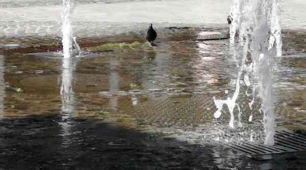 canicula continua si saptamana viitoare elena mateescu anm vor fi 40 de grade la umbra