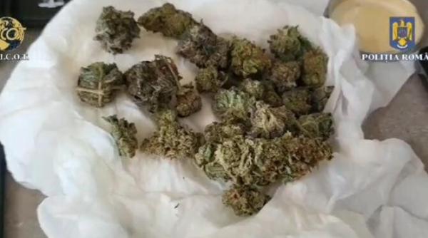 traficanti de droguri retinuti in prahova au fost ridicate 1 2 kg de canabis