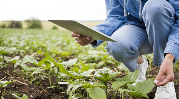 cand agricultura se impiedica in ambitiile de la mediu de la ferma la furculita strategia care s a aplicat fara studiu de impact americanii au refuzat