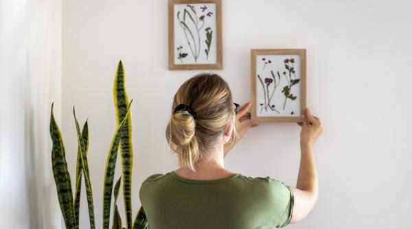 cum poti pune tablouri pe perete fara sa dai gauri sapte metode eficiente