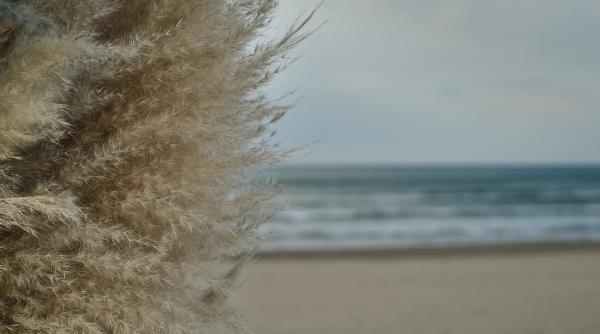 furtuna pe plaja in eforie sud video