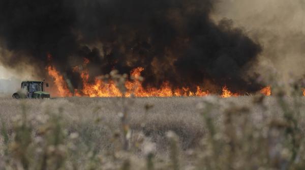 imagini dramatice in palermo dealurile din jurul orasului sunt cuprinse de flacari temperatura a trecut de 47 de grade celsius video