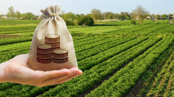 apia plateste aproape doua milioane de lei fermierilor din buzau afectati de razboiul din ucraina