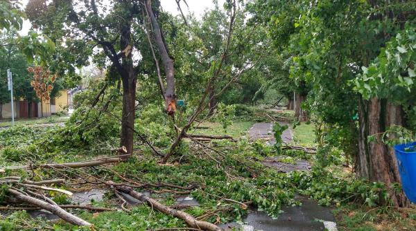 dezastru la oradea furtuna a smuls copacii din radacini si a spulberat la propriu acoperisurile vai de capul meu video gelerie foto