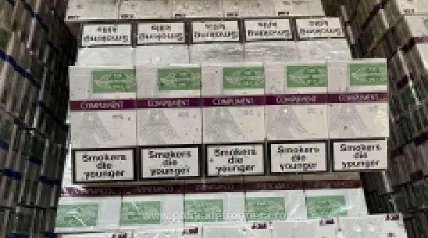 peste 8 400 de pachete de tigari de contrabanda gasite pe malul prutului