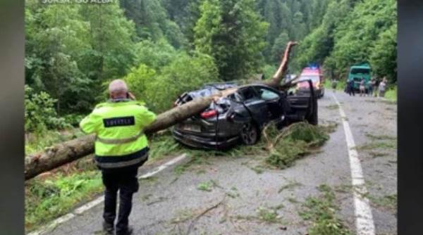 dosar pentru ucidere din culpa in cazul tragediei de pe transalpina ce scoate la iveala un document al cnair