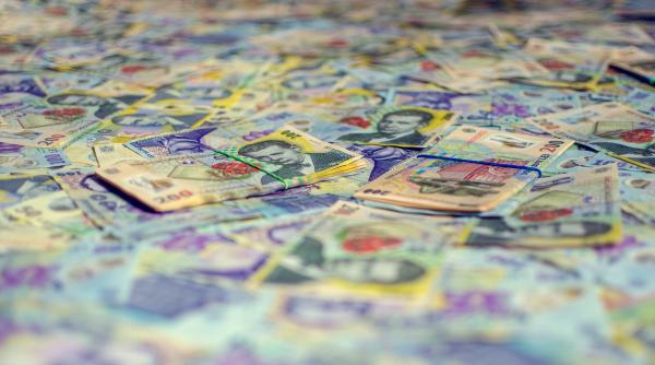 prejudiciu de peste 51 milioane de lei cauzat de o firma din iasi cu ce se ocupa