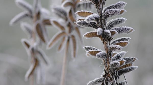 1 c in toiul verii locul din romania in care a fost inregistrata temperatura