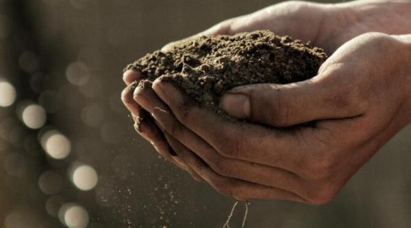 green deal ul a pus pe butuci agricultura frantei si germaniei am venit sa va luam terenurile a fost ca un razboi in parlamentul european