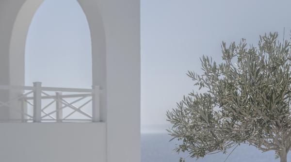 elvetia afectata de incalzirea globala geneva s ar putea transforma intr o mica grecie cu cladiri albe si maslini la tot pasul