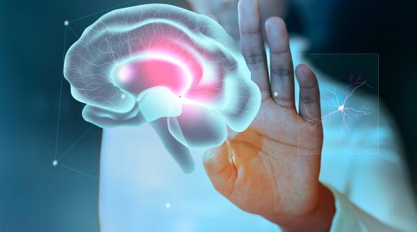 vaccin experimental impotriva bolii alzheimer intarziere a simpomelor un alt medicament asteapta aprobarea fda