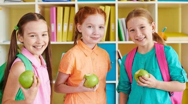 buget de 742 6 milioane lei pentru distribuirea de fructe legume lapte si produse de panificatie in scoli in anul 2023 2024