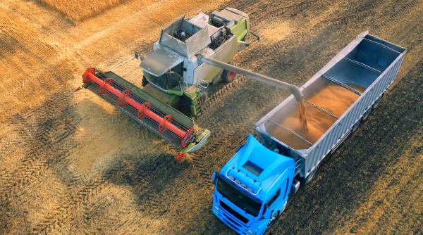 drumul cerealelor din ucraina prin romania dragnea angajat la fiul sau in agricultura situatia fermierilor romani este grava de ce sa ii ajutam