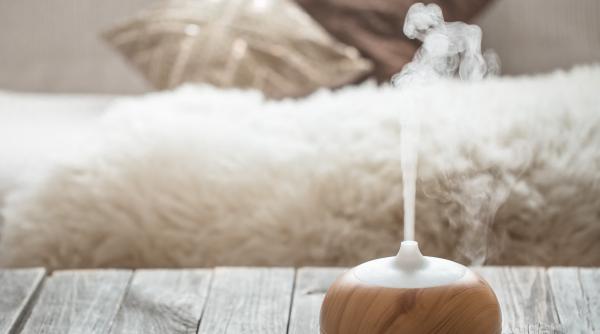 expunerea la anumite arome in timpul somnului stimuleaza functiile cognitive care sunt acestea