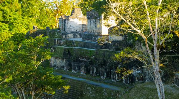 zeci de mii de structuri misterioase ale ciilizatiei maya descoperite in junga cu tehnologia lidar locul avea o populatie similara cu cea din new york din prezent