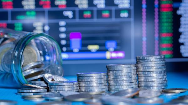 masuri fiscale elena cristian informatii de culise pnl a amenintat cu iesirea de la guvernare am informatia ca oug va fi adoptata rapid