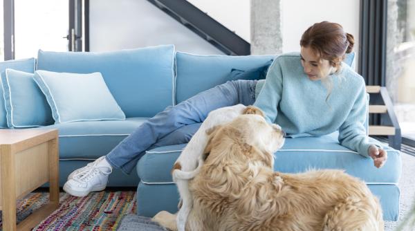 cum scapi de parul animalelor din casa