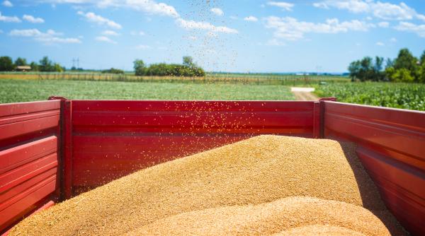 transportul crerealelor ucrainene sprijinit din toate partile sua recunoscatoare romaniei grindeanu doreste dublarea capacitatii de tranzit