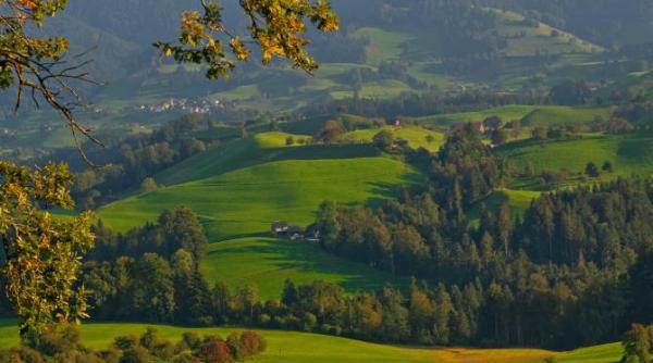 taramul incremenit in timp din romania casele acoperite cu paie din zapodie video