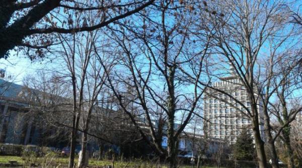 tvr mii de angajati pentru o audienta minima in schimb salariul ajunge la 10 000 de lei cu sporuri