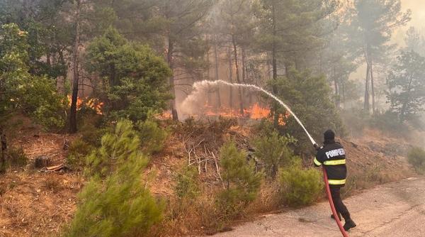 igsu pompierii romani din grecia au incheiat cu succes prima misiune din zona dadia