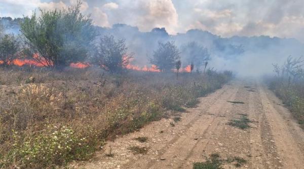 incendiu in zona de nord a capitalei in apropiere de str drumul argatului