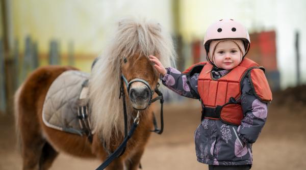 din 2025 plimbarile cu ponei ar putea fi interzise in acest oras