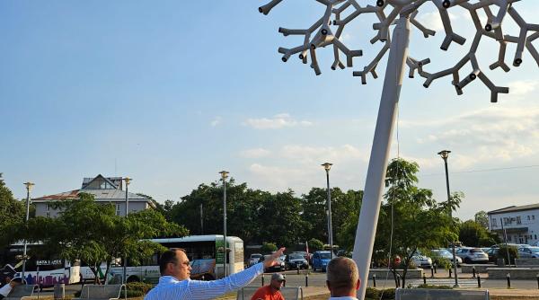 la focsani s a plantat primul arbore inteligent