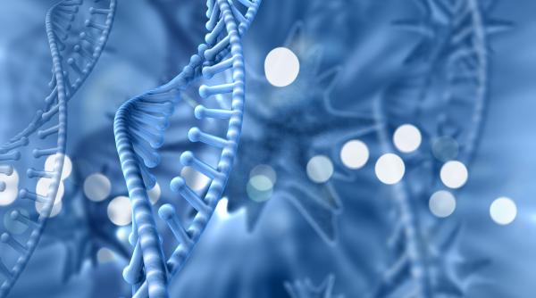 trei persoane au murit dupa infectarea cu legionella care duce la boala legionarilor alte 71 sunt spitalizate