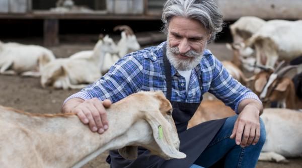 apia da drumul la plati cand vor fi livrati banii