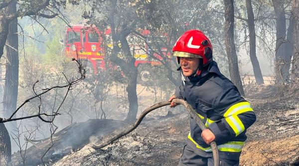 grecia continua lupta cu incendiile de padure localnicii sunt nemultumiti de situatia care se repeta anual