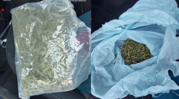 traficant de canabis arestat preventiv dupa ce a fost prins in flagrant in cluj