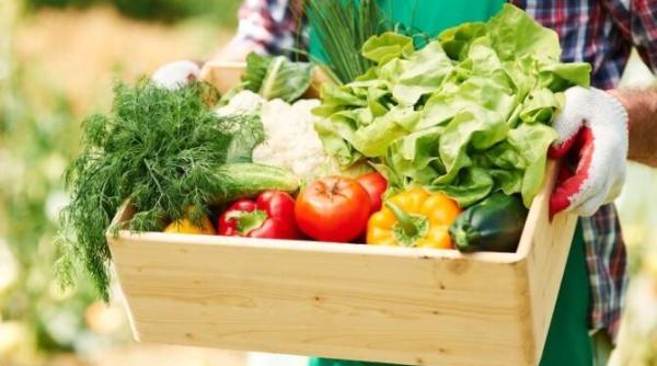 22 de milioane de euro pentru programul de sustinere a productiei de legume