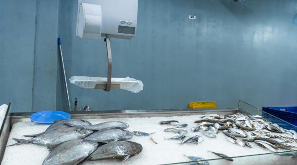 alerta alimentara in romania peste retras din magazine