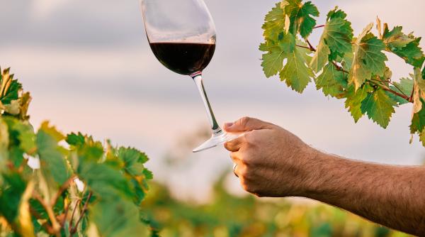 guvernul francez acorda 200 de milioane de euro pentru distrugerea vinului pretul de vanzare al vinului este sub pretul de productie