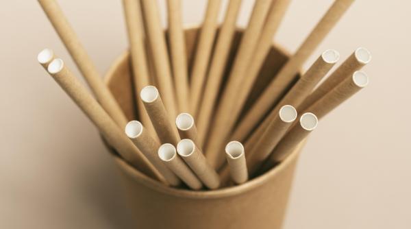 paiele de baut ecologice la fel de daunatoare ca si cele din plastic