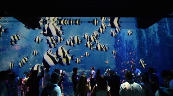 primul muzeu de arta imersiva inaugurat la bucuresti