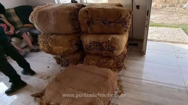 retea romano bulgara de contrabanda cu tutun destructurata perchezitii identificarea a peste 1 000 de trimiteri postale si tone de tutun confiscate