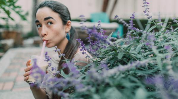 inghetata de lavanda un desert de casa inedit preparat de o bulgaroaica din vrata