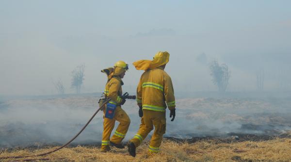 incendii puternice in prahova focul a cuprins o stana