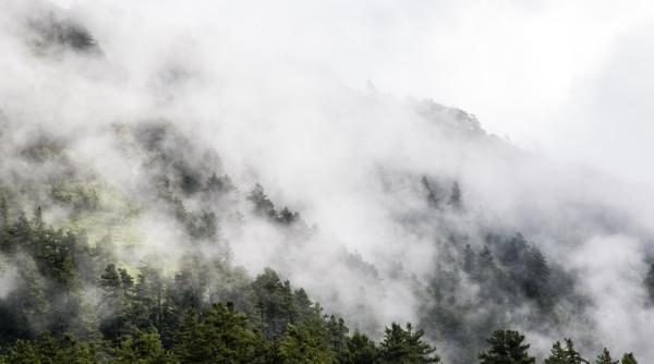 dispozitivul care transforma ceata direct in apa buna de baut