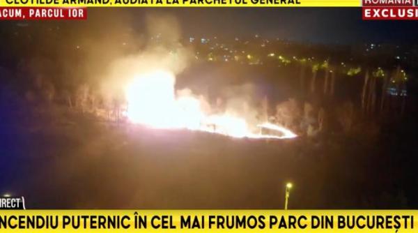 incendiu in parcul ior