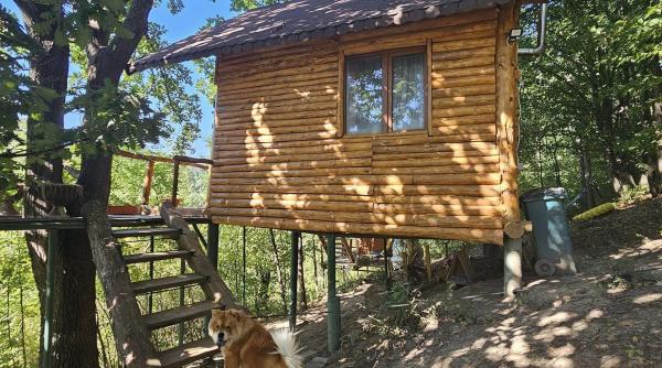 vacanta de cosmar pentru doi jurnalisti concediu demn de intrat in cartea recordurilor n am fost niciodata mai dezamagita de un loc din romania