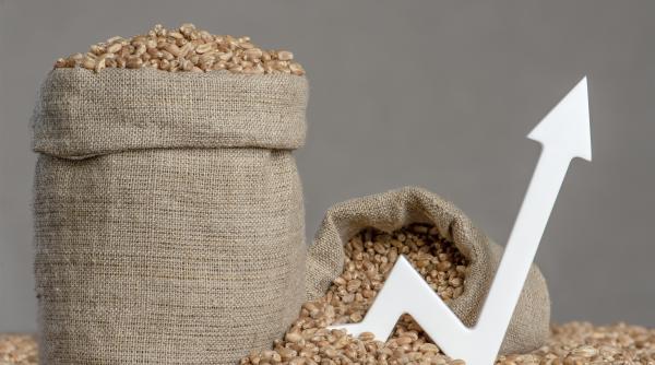 sua colaboreaza cu romania si r moldova pentru a dubla exporturile de cereale ale ucrainei pe dunare