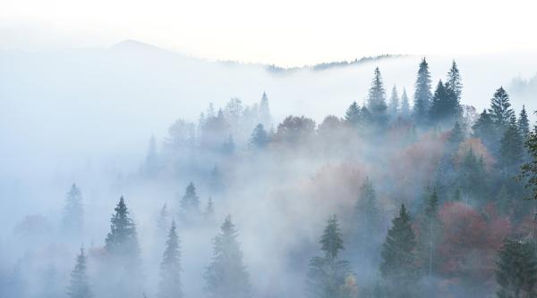 cod galben de ceata in sapte judete din zona montana