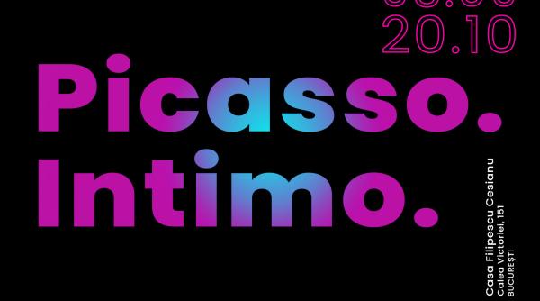 festivalul de film spaniol din mansarda casei filipescu cesianu vine cu bonus pentru iubitorii de arta o expozitie outdoor dedicata lui picasso