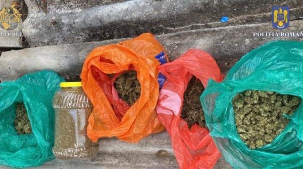trei tineri din mures prinsi in flagrant delict cand ridicau un colet cu canabis venit din spania se afla in arest preventiv pentru 30 de zile